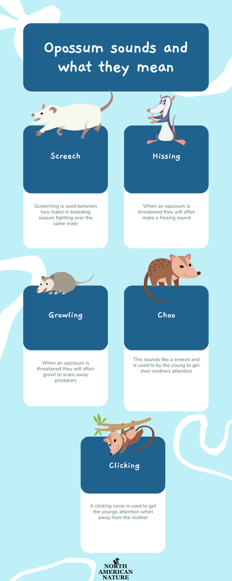 What Sounds Do Opossums Make?