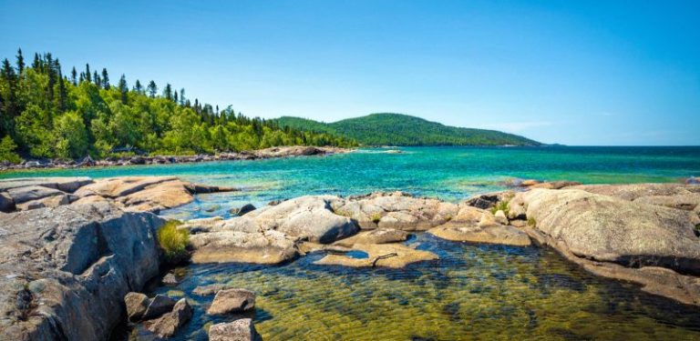 The Delicate Balance: Biodiversity In The Great Lakes Region – North ...