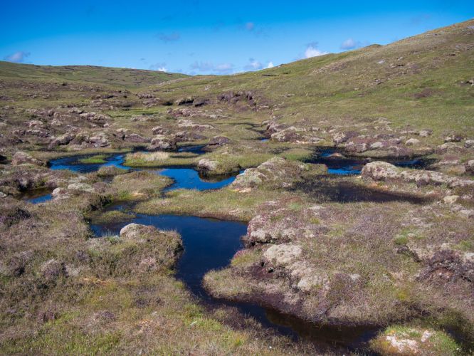 peatland north america
